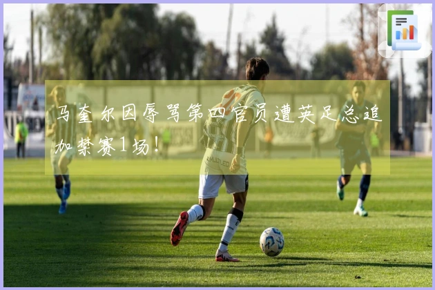 马奎尔因辱骂第四官员遭英足总追加禁赛1场！