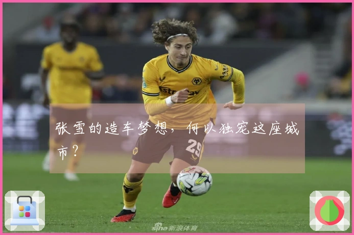 张雪的造车梦想，何以独宠这座城市？